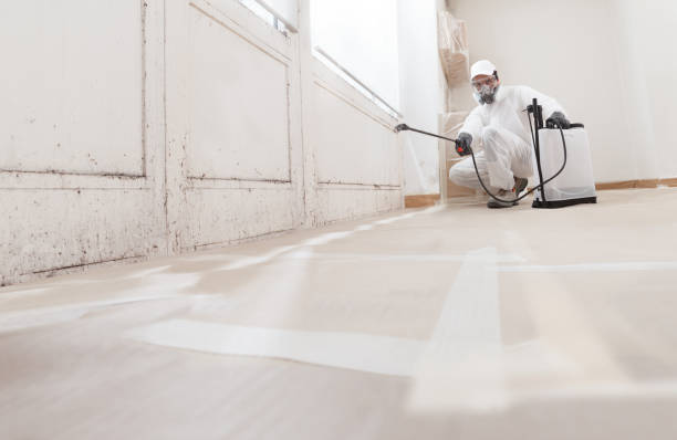 24/7 Emergency Black Mold Remediation experts in Marion, VA