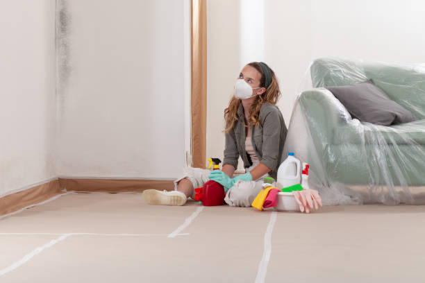 Reliable Black Mold Remediation contractor in Marion, VA by 24 Hour Mold Removal